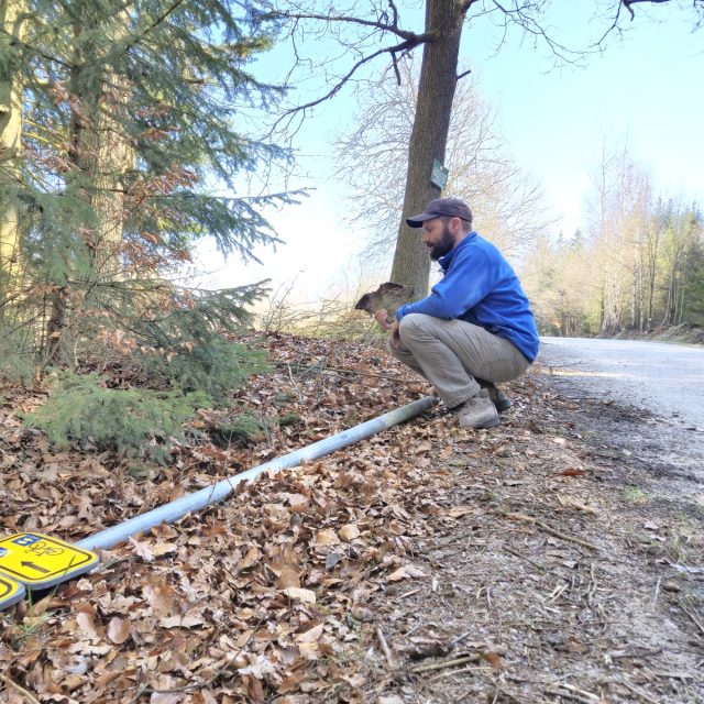 Jan Vlášek opravuje značení u Kačležského rybníka | foto: Eva Musterová Marvanová,  Český rozhlas