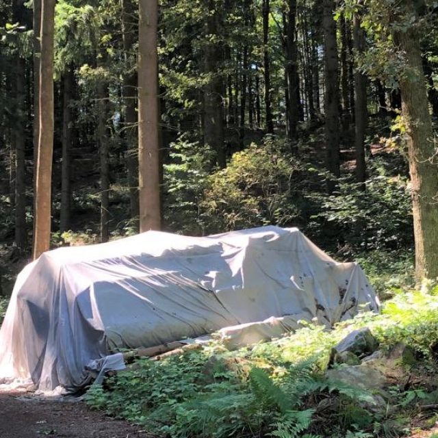 Dřevo je v lese přikryté plachtou,  která zabraňuje kůrovci ve vylétnutí | foto: Jitka Cibulová Vokatá,  Český rozhlas,  Český rozhlas