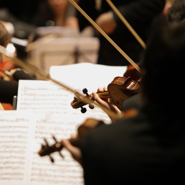 Ilustrační foto | foto: Shutterstock