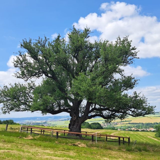 Ilustrační foto | foto: Michal Sladký,  Český rozhlas