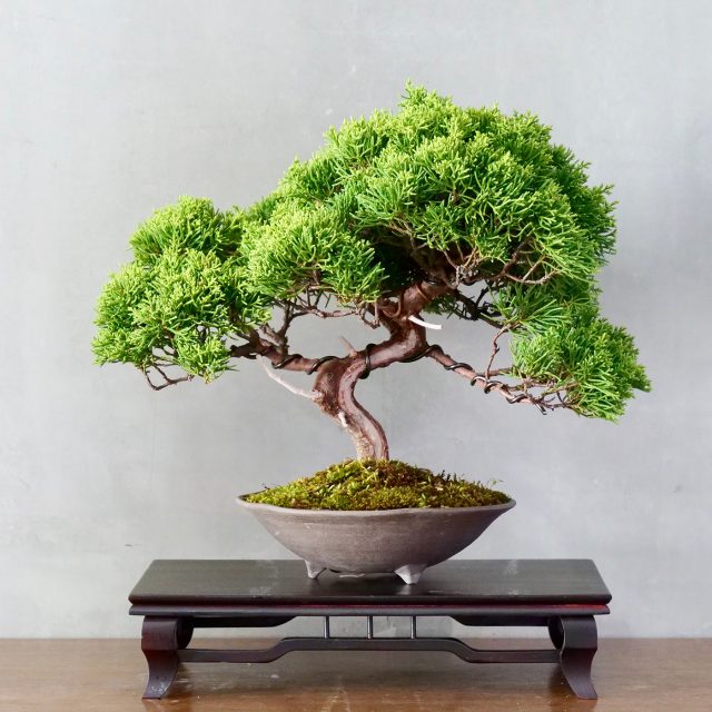 Ilustrační foto | foto: Shutterstock