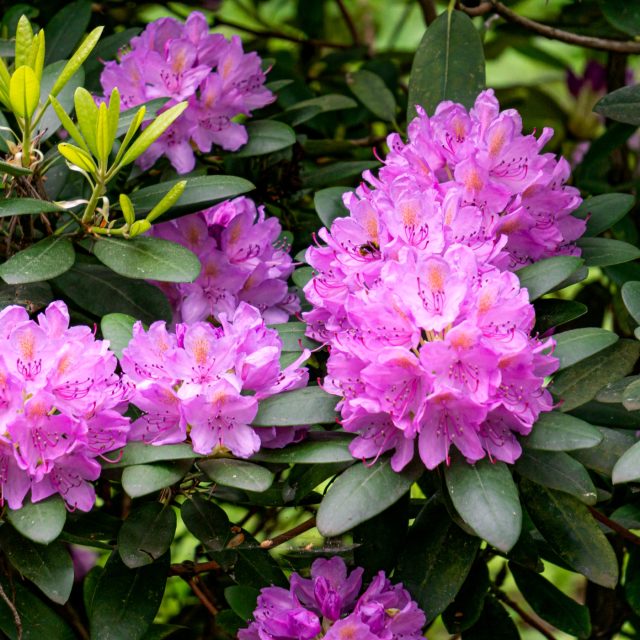 Ilustrační | foto: Shutterstock