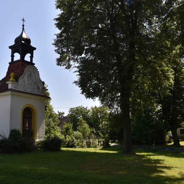 Ilustrační foto | foto: Šárka Kuchtová,  Český rozhlas