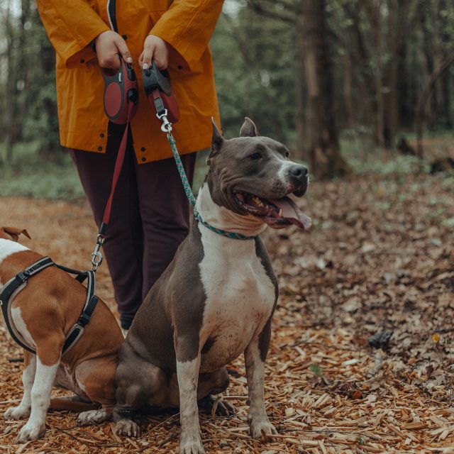 Stopovací vodítko je možné zkracovat podle potřeby | foto: Pexels