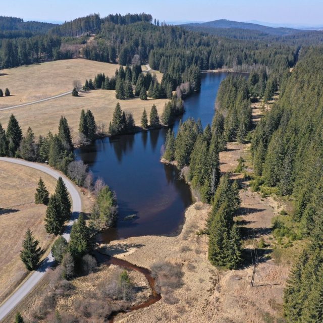 Pohořský rybník v Novohradských horách | foto: Petr Znachor,  Biologické centrum Akademie věd ČR