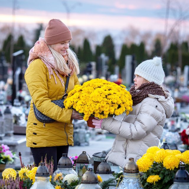 Ilustrační foto | foto: Shutterstock