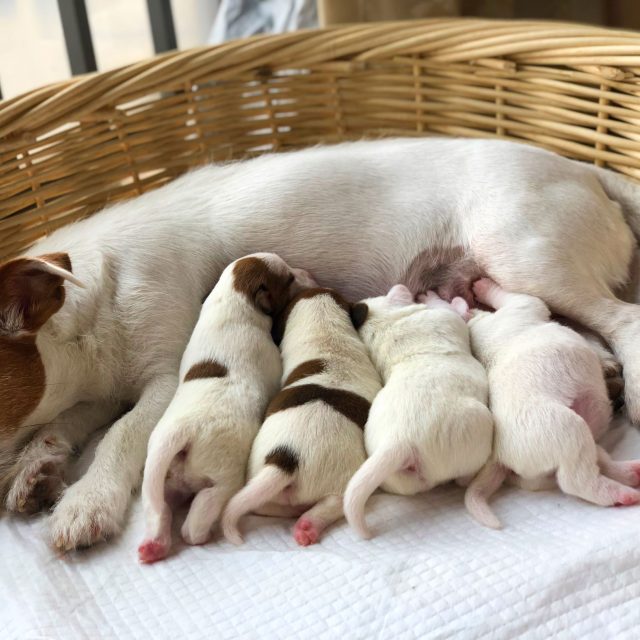 Ilustrační foto | foto: Shutterstock