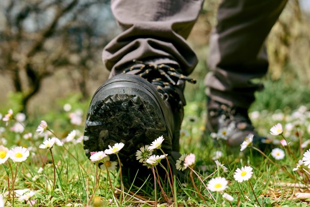 Ilustrační foto | foto: Shutterstock