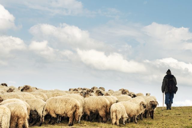 Ilustrační foto | foto: Shutterstock