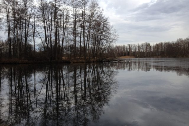 Třeboňské rybníky | foto: Mária Pfeiferová