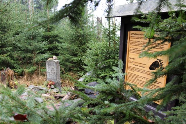 Pomníček označuje místo skonu posledního šumavského medvěda | foto: Ivan Studený,  Český rozhlas