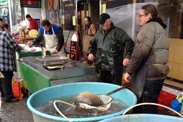 Nejžádanější vánoční rybou je stále kapr | foto: Roman Verner,  Český rozhlas