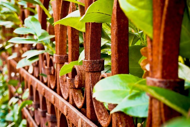 Plot,  zahrada,  rezavý,  rostliny | foto: Fotobanka Pixabay
