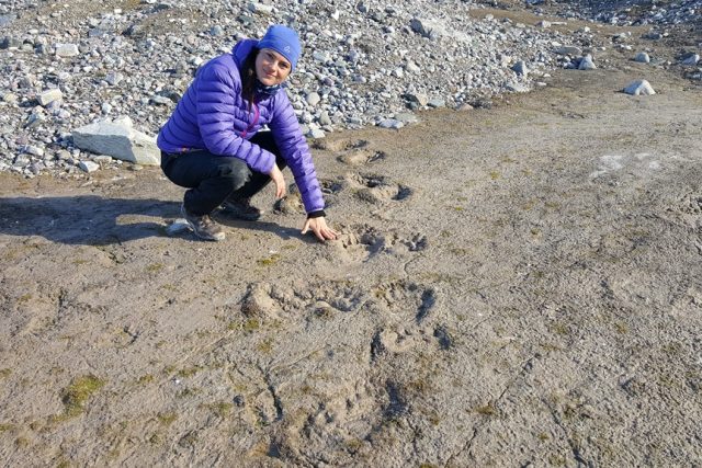 Při výpravě do arktické divočiny narazila Romana Lehmannová s vědci na stopy ledního medvěda | foto: Tereza Hromádková