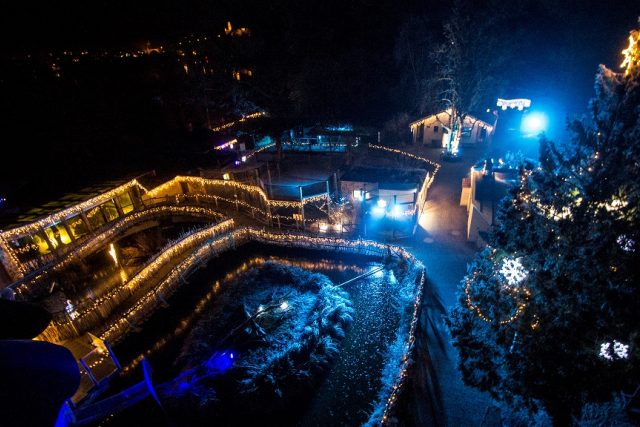 Vánočně nasvícená Zoo Hluboká | foto: Zoo Hluboká