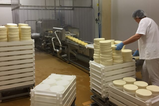 Výroba sýrů v mlékárenském podniku Madeta v areálu v Plané nad Lužnicí | foto: Jitka Cibulová Vokatá,  Český rozhlas