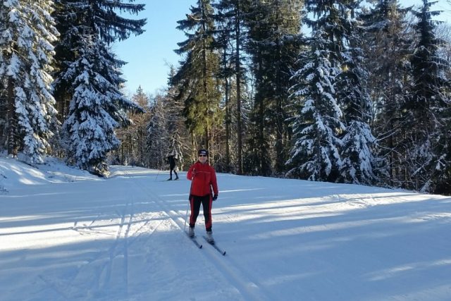 Čerstvý sníh vytvořil ideální podmínky pro milovníky zimních sportů. Na ilustračním snímku běžkování v okolí vesnice Schöneben na rakouské straně Šumavy | foto: Mária Pfeiferová