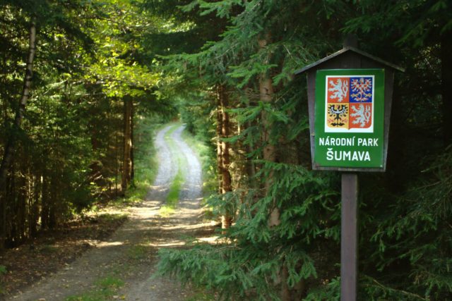Národní park Šumava spustil registraci na komentované vycházky běžně nepřístupnými oblastmi. Ilustrační foto | foto:  Aktron,   CC BY 3.0