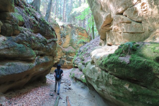 První zúžení Pivnické rokle | foto: Tereza Brázdová,  Český rozhlas