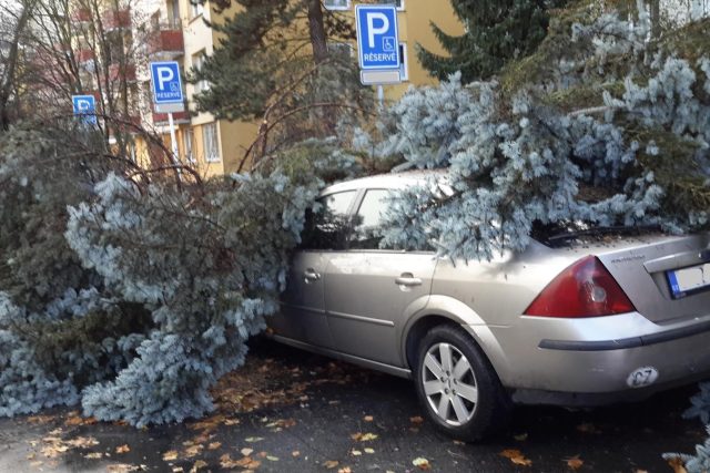 Jeden z mnoha následků silné vichřice - strom na autě v Českých Budějovicích | foto: Hasičský záchranný sbor Jihočeského kraje