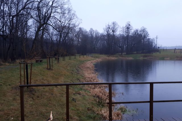 Naučná stezka vás dovede i k nově vybudovanému rybníku | foto: Romana Kubicová,  Český rozhlas
