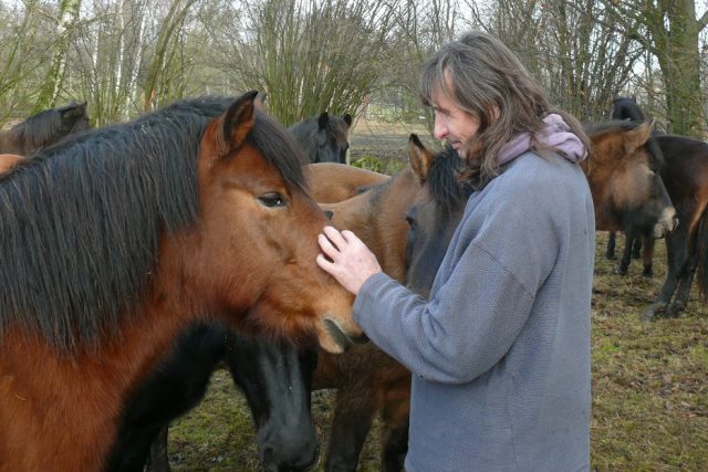 Vladimír Vopravil chová na své farmě v Cunkově huculské koně | foto: Filip Černý,  Český rozhlas