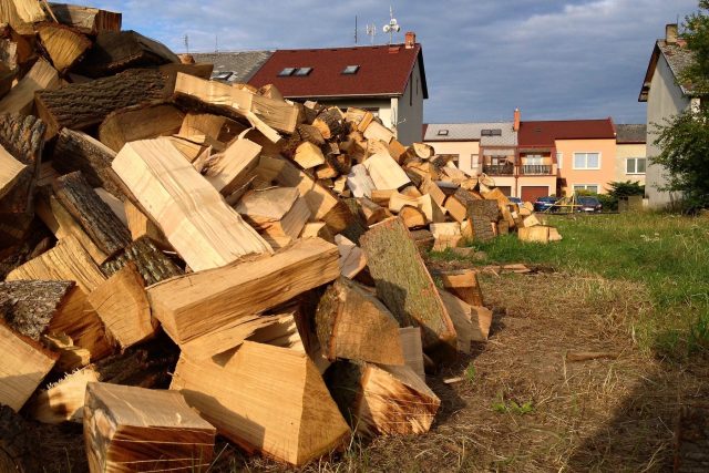 Dřevo | foto: Fotobanka Profimedia