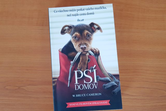 Kniha Psí domov | foto: Andrea Poláková,  Český rozhlas,  Český rozhlas