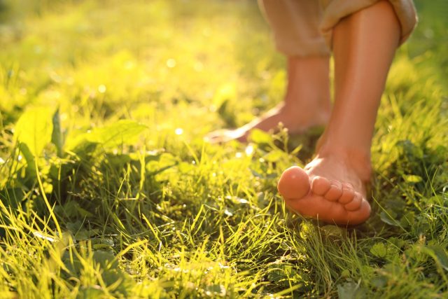 Ilustrační foto | foto: Profimedia