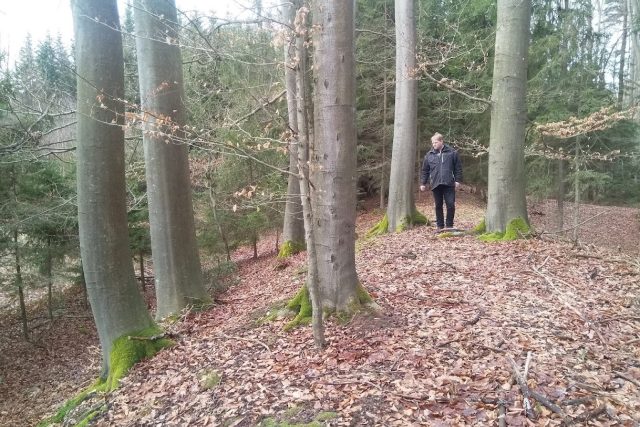 Půlmon u Ledenic na Českobudějovicku | foto: Zdeněk Zajíček,  Český rozhlas