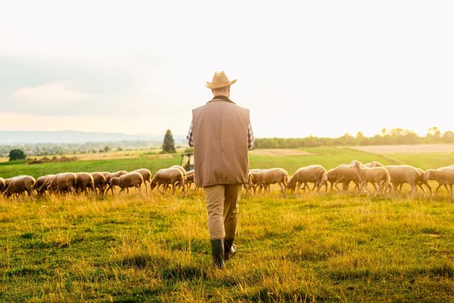 Ilustrační foto | foto: Shutterstock