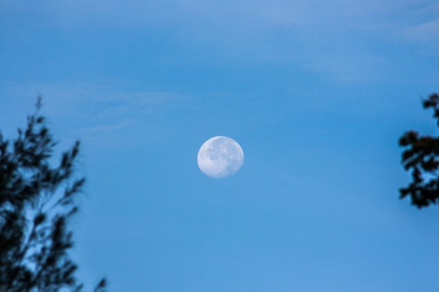 Měsíc ve dne | foto: Shutterstock