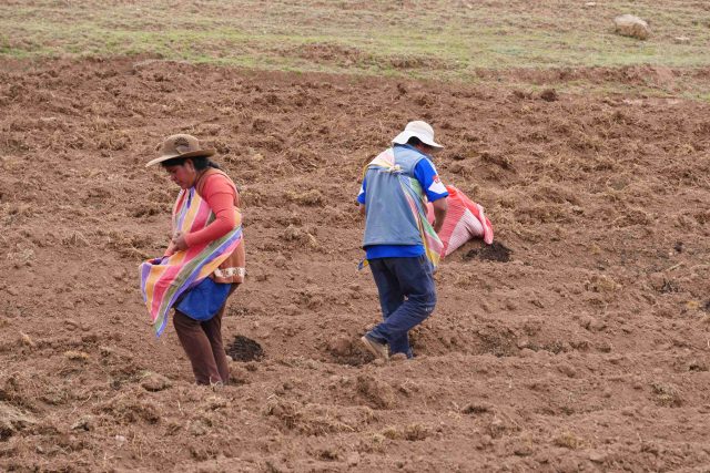 Oblast okolo peruánského města Cuzco je považována za typicky bramborářskou. Pavel Chlouba se tu vydal za poznáním na nefalšovaný venkov | foto: Pavel Chlouba,  Český rozhlas