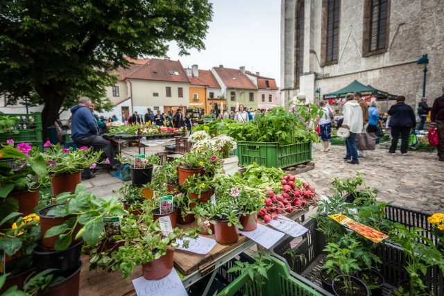 Farmářský trh na Piaristickém náměstí v Českých Budějovicích | foto: Město České Budějovice