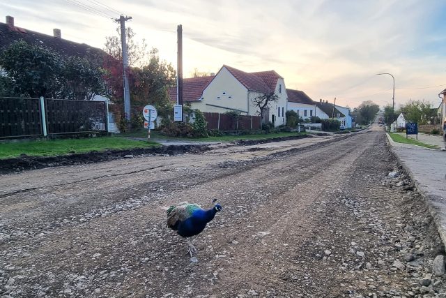 Jediná silnice v Doňově se opravuje | foto: Eva Musterová Marvanová,  Český rozhlas