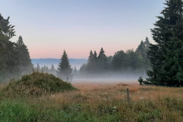 Ilustrační foto | foto: Jan Markup,  Český rozhlas