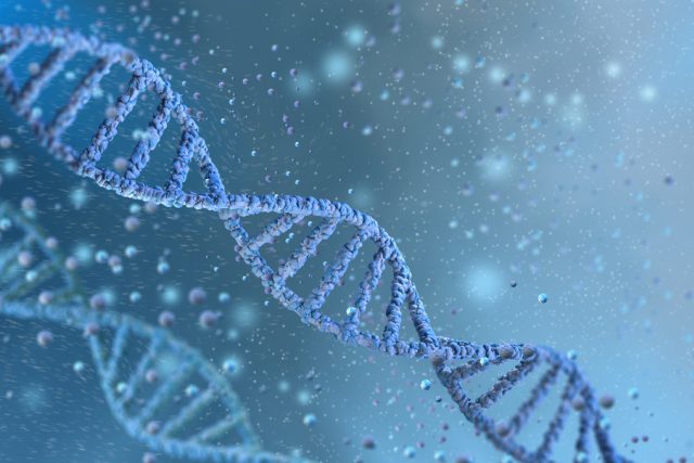 Dvoušroubovice DNA | foto: Shutterstock
