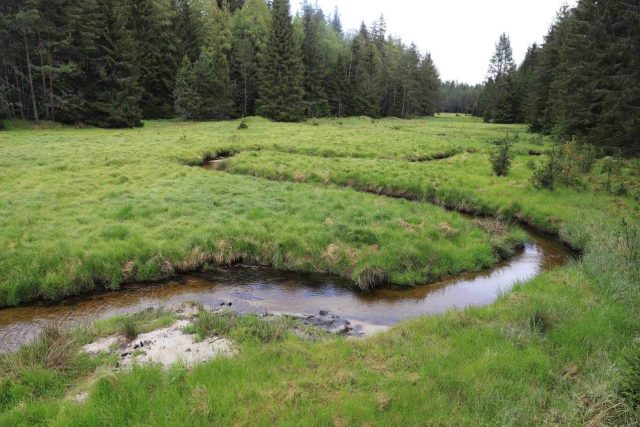 Potok Hučina na Šumavě byl v roce 2013 z hlubokého narovnaného kanálu přesunut do původního koryta | foto: Národní park Šumava