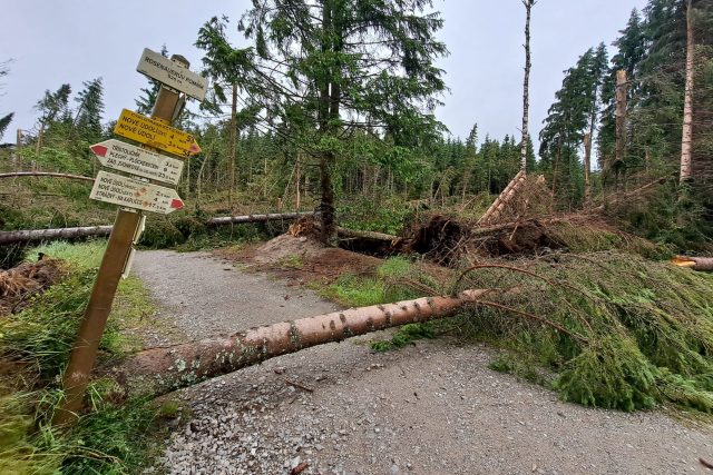 Kvůli četným polomům jsou uzavřené některé turistické trasy na Šumavě | foto: Kristýna Barchini,  Český rozhlas,  Český rozhlas