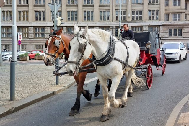 Ilustrační foto | foto: Klára Škodová,  Český rozhlas