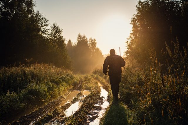 Ilustrační foto | foto: Shutterstock