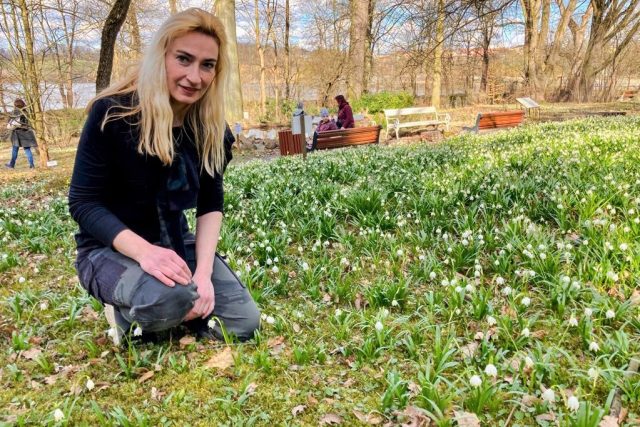 Žaneta Šišková ukazuje jarní květy v botanické zahradě v Táboře | foto: Jan Kopřiva,  Český rozhlas