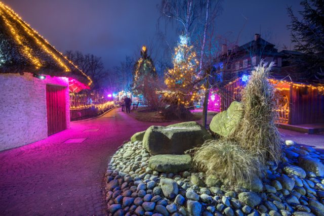 Vánočně nasvícená Zoo Hluboká | foto: Jihočeská centrála cestovního ruchu