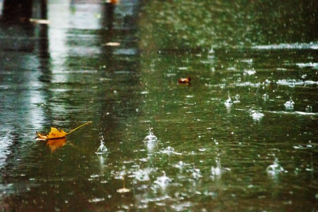 Déšť | foto: Shutterstock