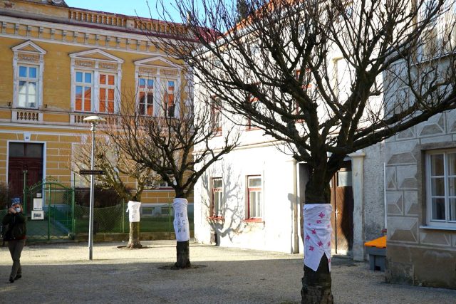 Kácení stromů ve Slavonicích doprovázejí protesty | foto: Barbara Trojanová