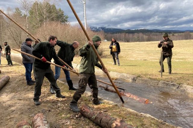 Želnavským smykem na Šumavě se může znovu plavit dřevo | foto: Jitka Cibulová Vokatá,  Český rozhlas