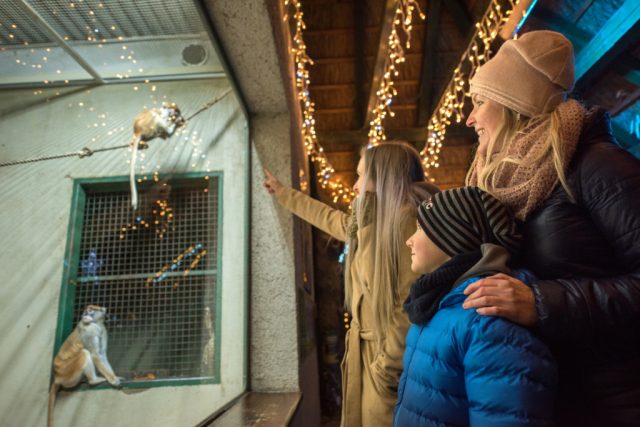 Zoo Hluboká | foto: Jihočeská centrála cestovního ruchu