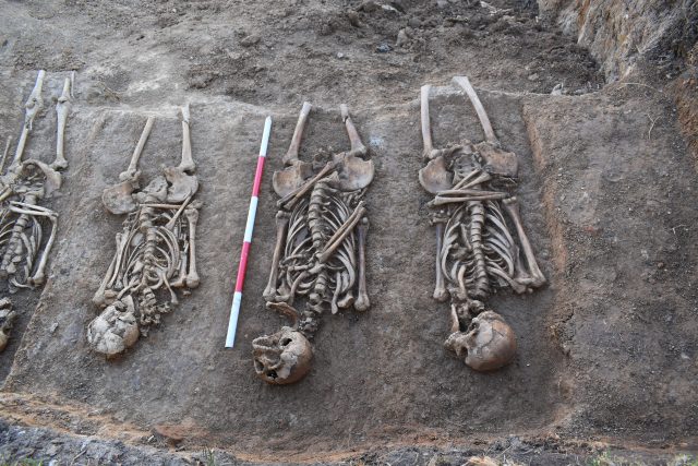 Kosterní ostatky objevené při rekonstrukci parku Na Rybníčku v Třeboni | foto: Gabriela Kocinová,  Muzeum Jindřichohradecka