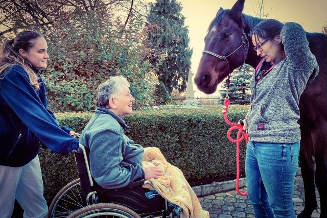 Terapeutický kůň Sagi v domově pro seniory v Chýnově | foto: Jan Kopřiva,  Český rozhlas