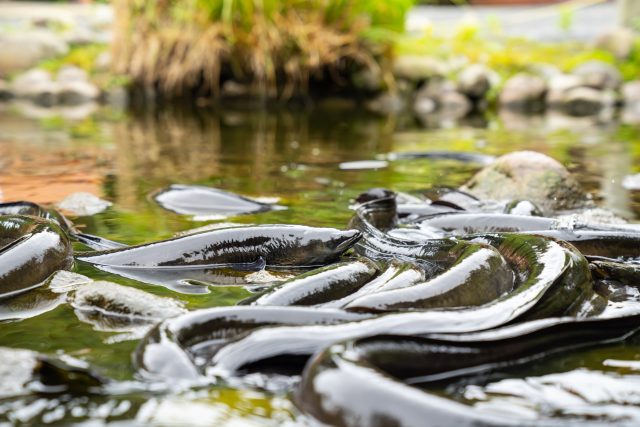 Ilustrační foto | foto: Shutterstock